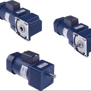 YR系列微型阻尼電機